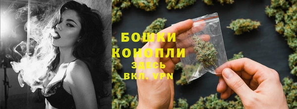 спайс Арсеньев