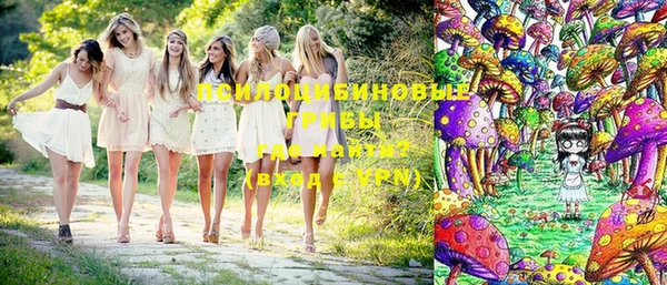 спайс Арсеньев