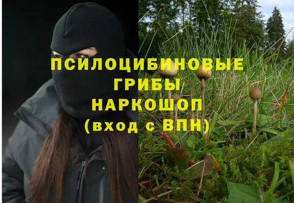спайс Арсеньев