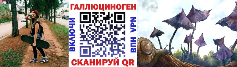 Псилоцибиновые грибы Cubensis  ОМГ ОМГ ссылка  Жиздра 